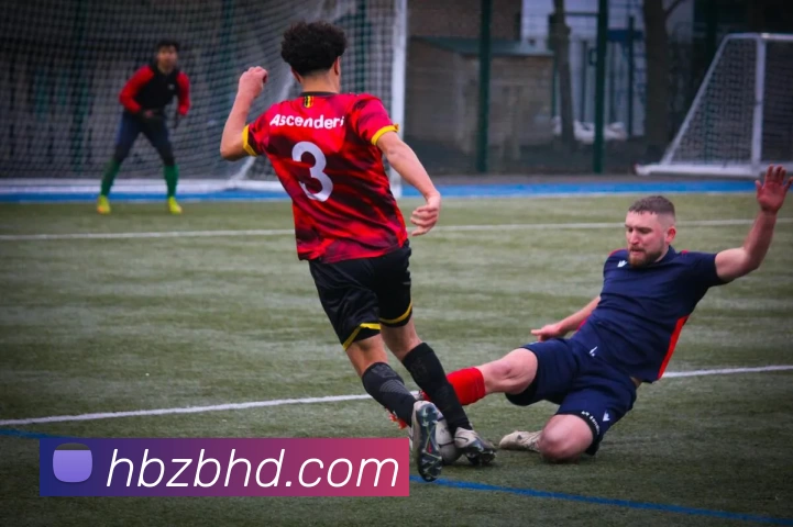 多媒体互动体验