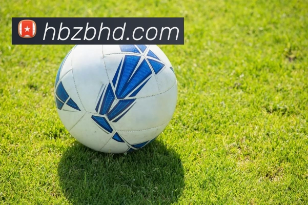 黑白体育直播官网APP 高清赛事图