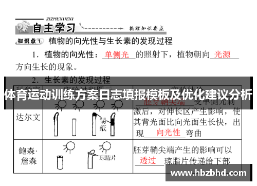 体育运动训练方案日志填报模板及优化建议分析